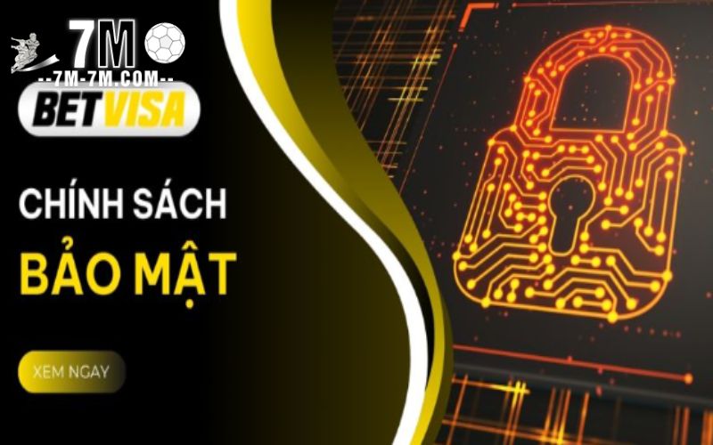 Tìm hiểu khái quát về nền tảng Betvisa
