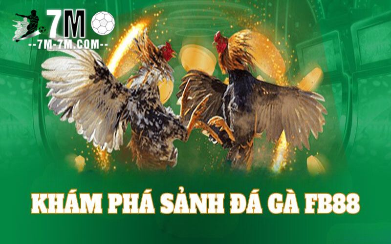 Tổng quan về đá gà FB88