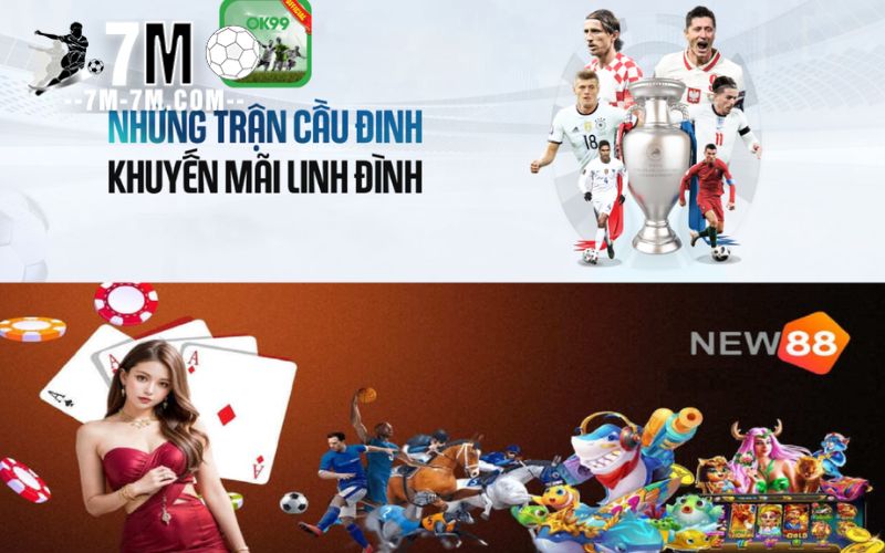 Tổng quan về ok9 và new88