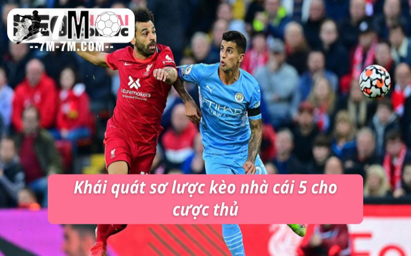 Khái quát sơ lược kèo nhà cái 5 cho cược thủ