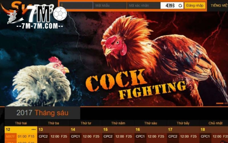Tổng quát về sân chơi SV388