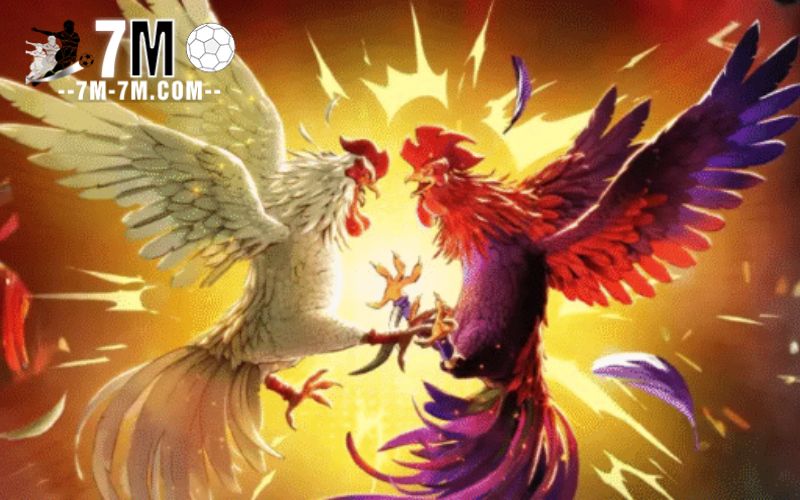 Cách tham gia chơi tại SV388
