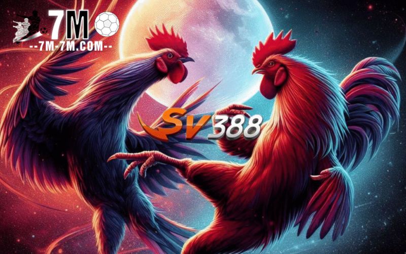 Tại sao SV388 được đánh giá rất cao