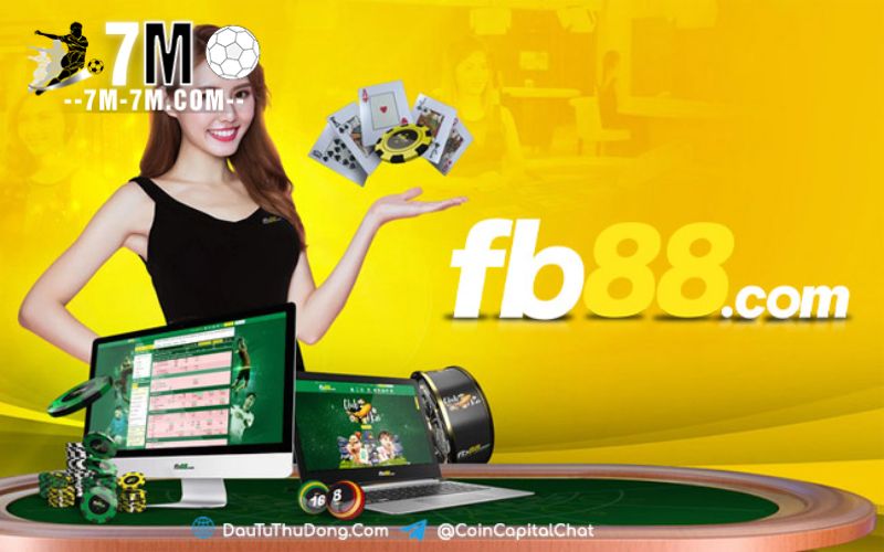 Khi nào cần xác minh tài khoản?
