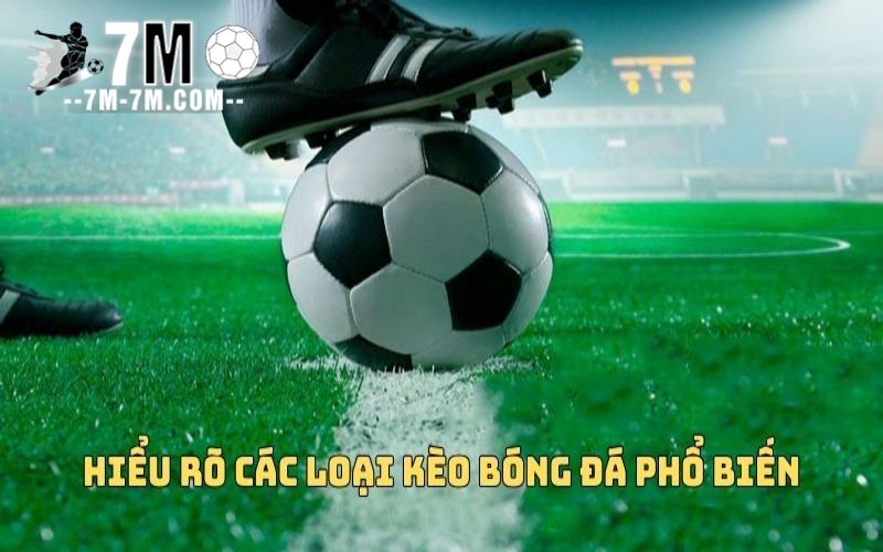 Người chơi cần hiểu rõ các loại kèo