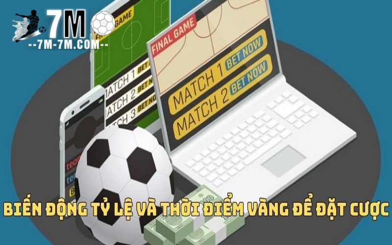Phân tích kỹ biến động tỷ lệ và chọn thời điểm đặt cược hợp lý