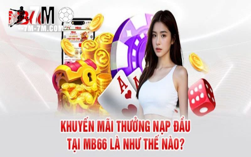 Khuyến mãi và ưu đãi đặc biệt tại MB66